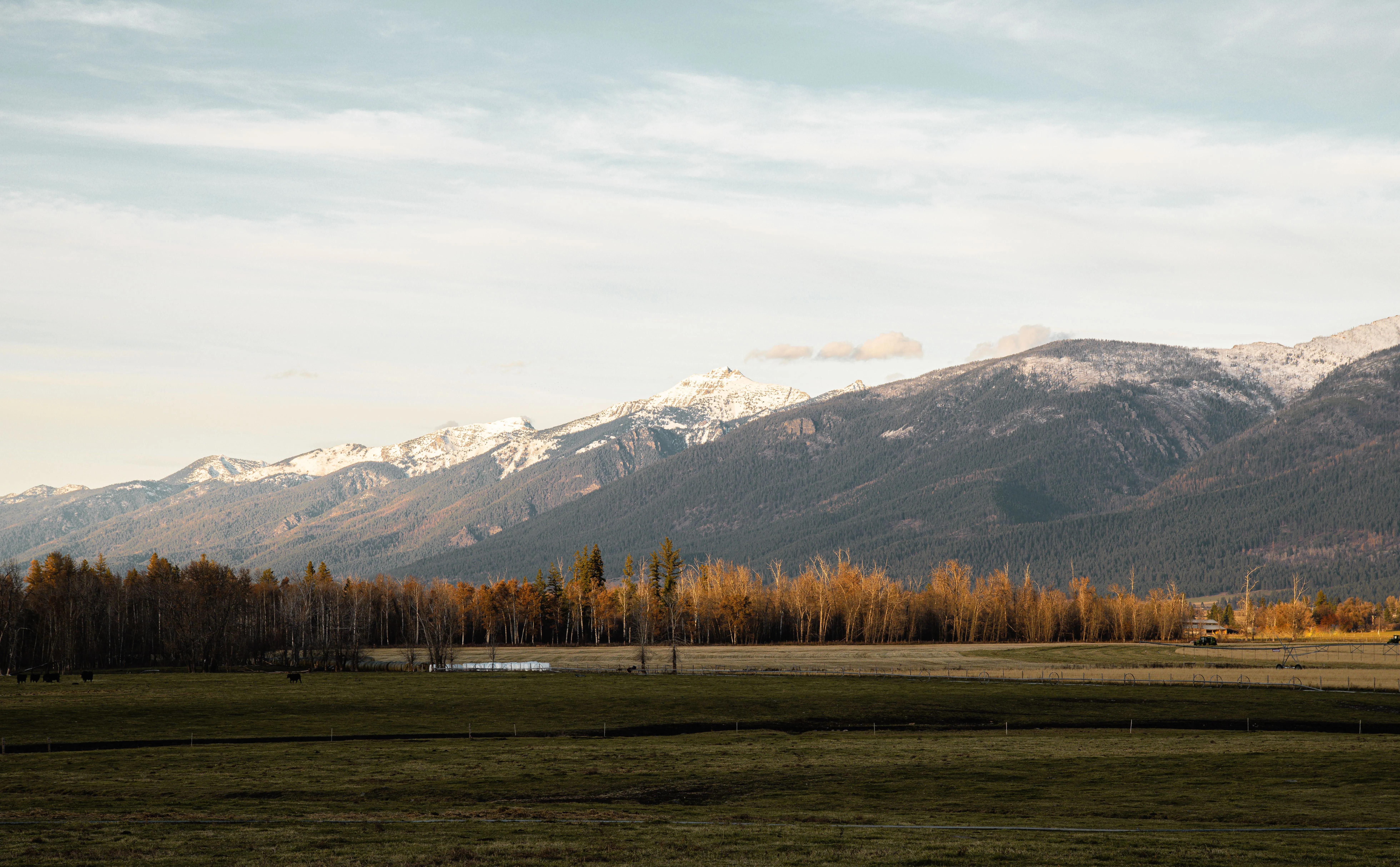 Snow-dusted mountain peaks rising above a golden autumn field in North Idaho