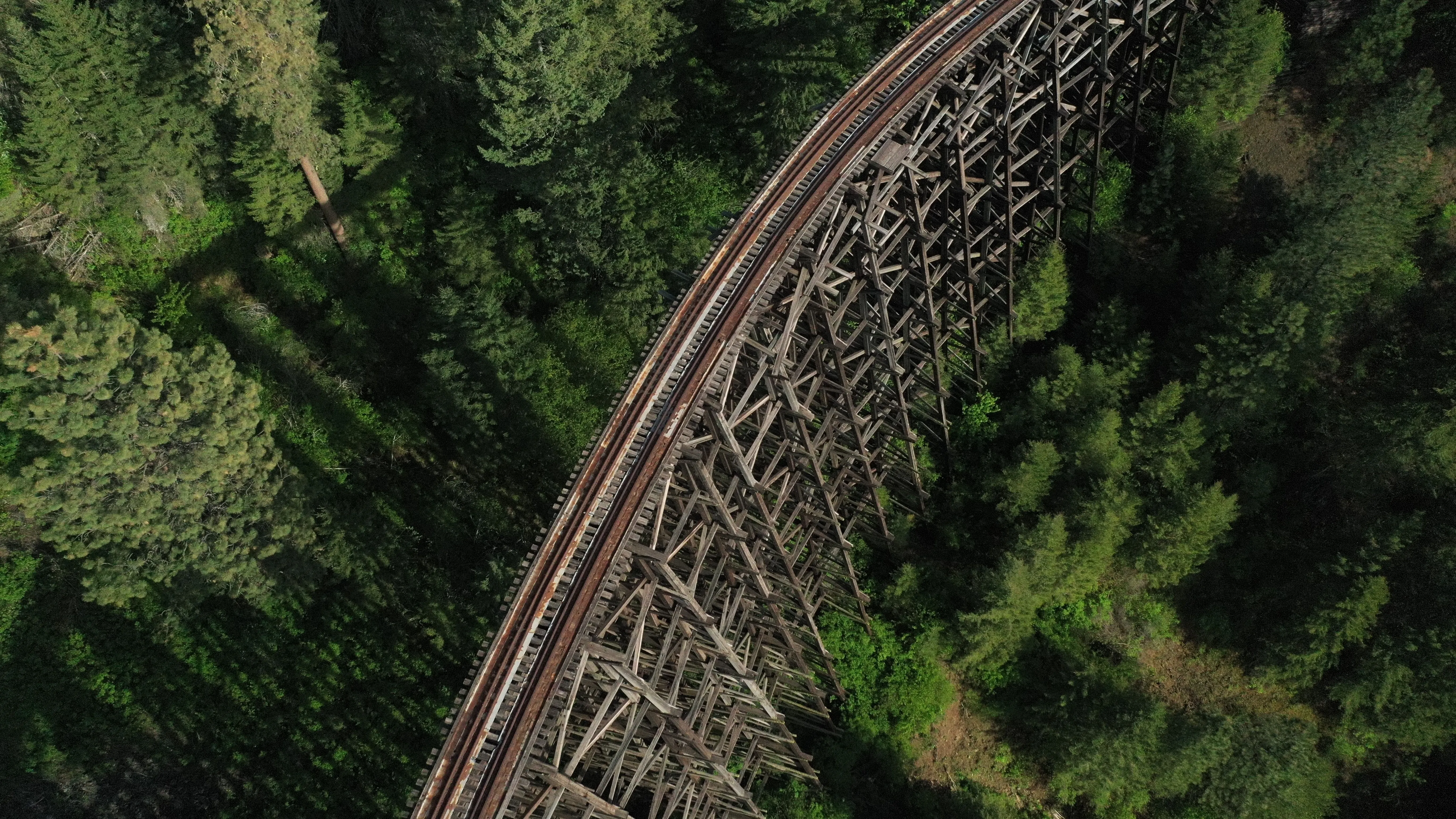 An aerial view of a curving timber railway trestle carried high above dense evergreen forest